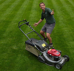 Tim looking happy on freshly cut lawn with stripes