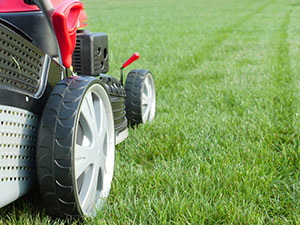 a lawnmower cutting grass