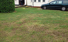 renovated re seeded lawn
