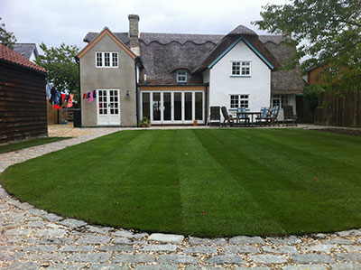 Turf lawn curved. Fresh turf that day